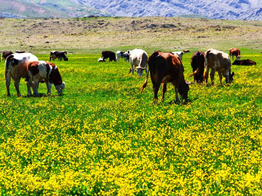 Konya’nın cennet köşesi baharı böyle karşıladı 16